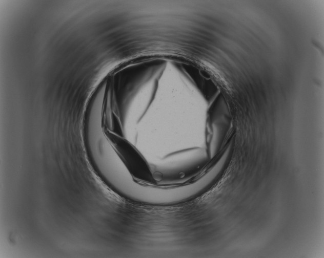 X0000091450942200709131713