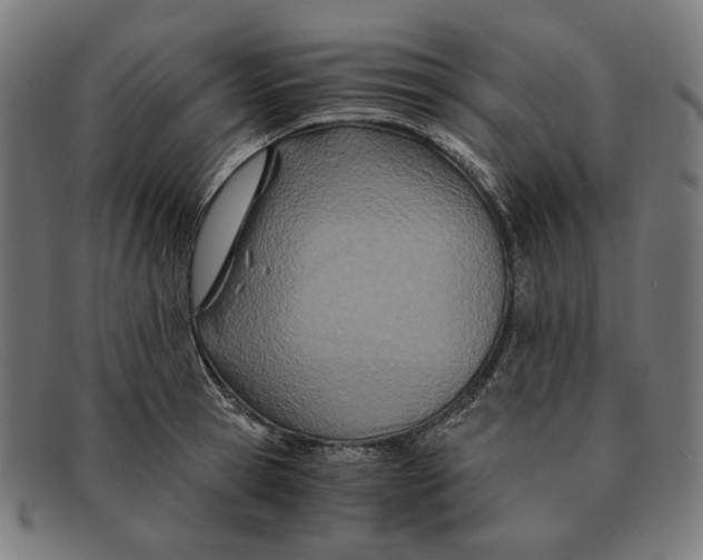 X0000091450945200709131713