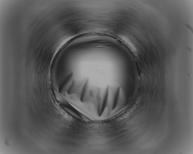 X0000091450948200709131713