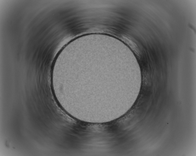 X0000091450950200709131713