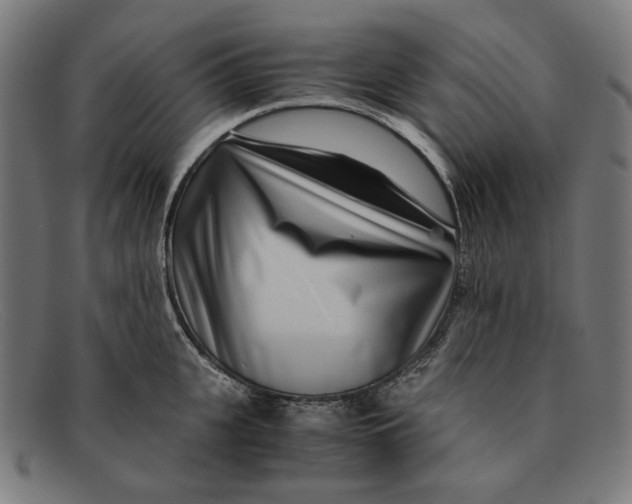X0000091450951200709131713
