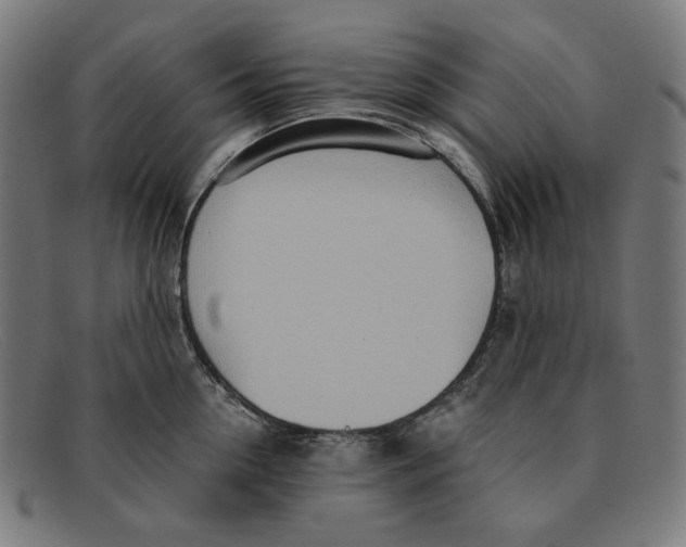 X0000091450954200709131713
