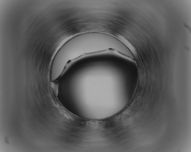 X0000091450956200709131713