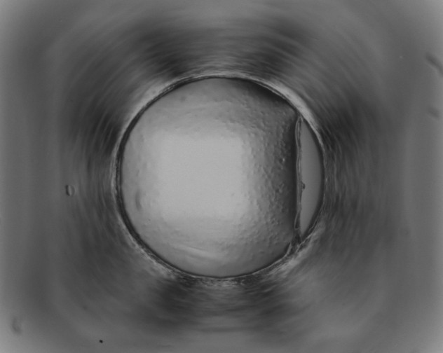 X0000091450957200709131713