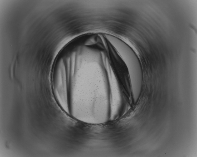 X0000091450959200709131713