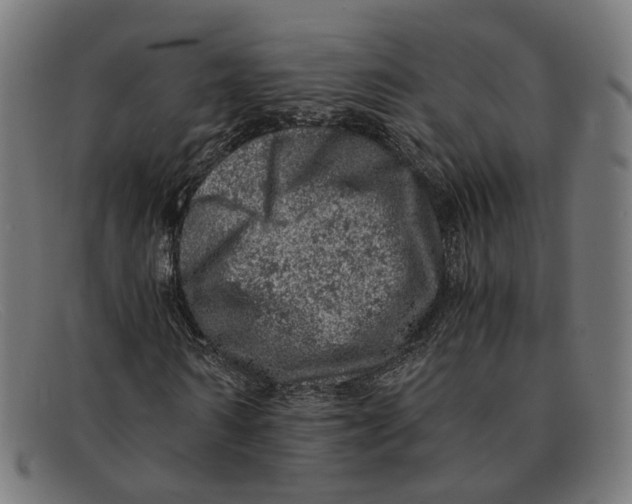 X0000091450962200709131712