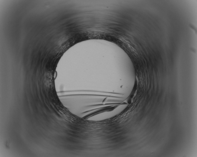X0000091450964200709131712