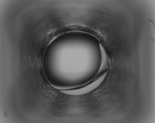 X0000091450965200709131712
