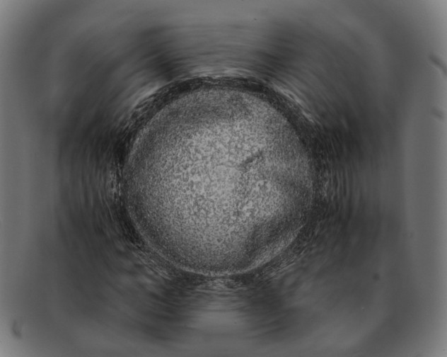 X0000091450966200709131712