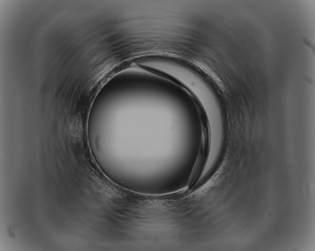 X0000091450969200709131712