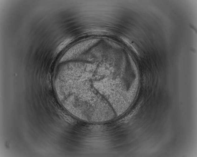 X0000091450970200709131712
