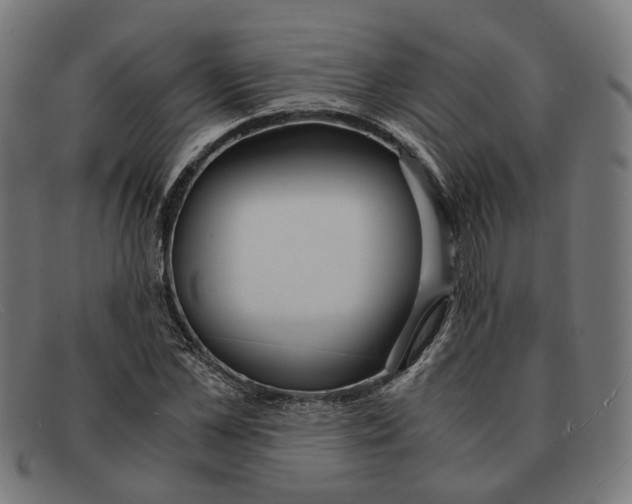 X0000091450973200709131712