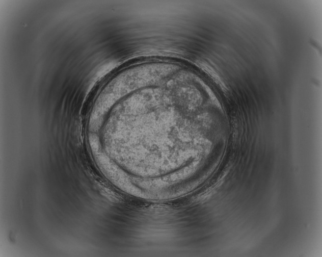 X0000091450974200709131712
