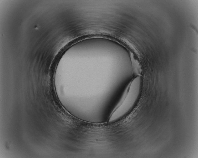 X0000091450975200709131712