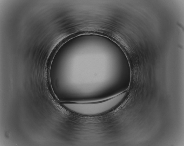 X0000091450976200709131712
