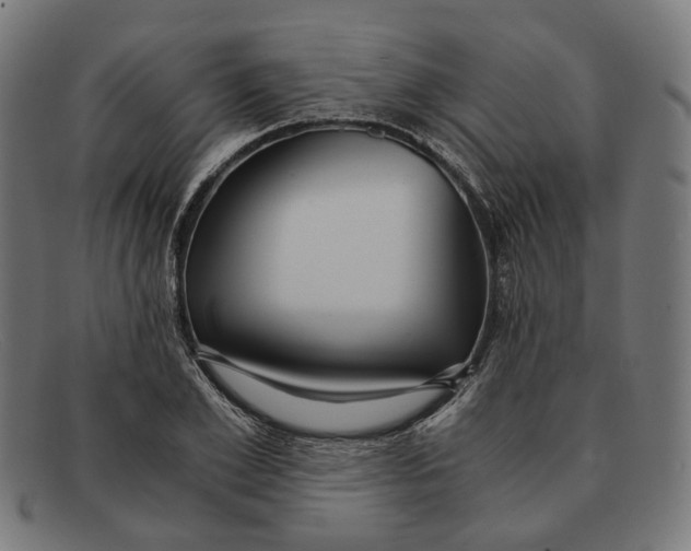 X0000091450981200709131712