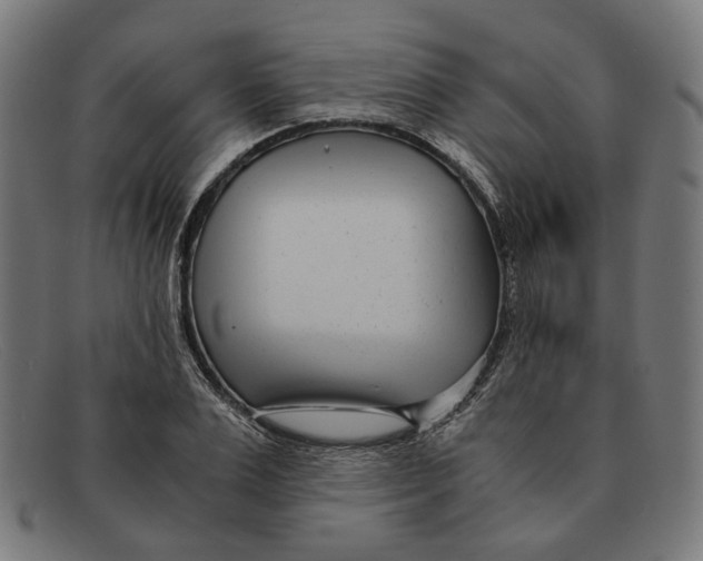 X0000091450983200709131712