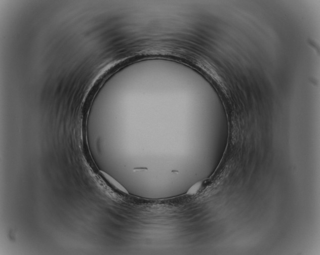 X0000091450984200709131712