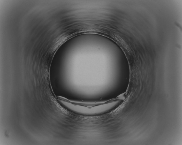 X0000091450985200709131712