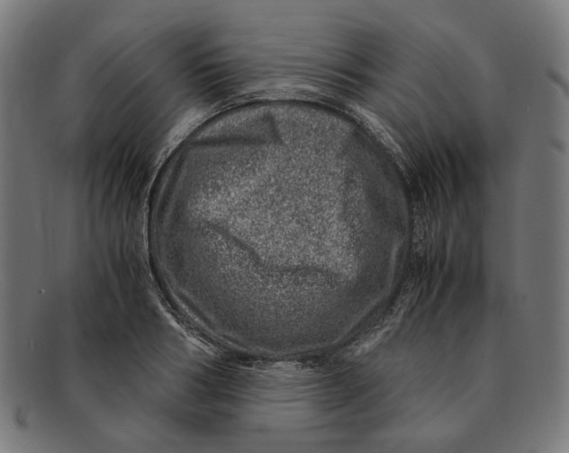 X0000091450986200709131712