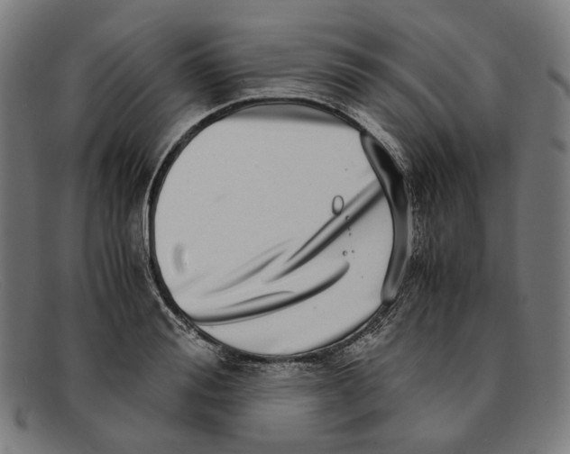 X0000091450988200709131712