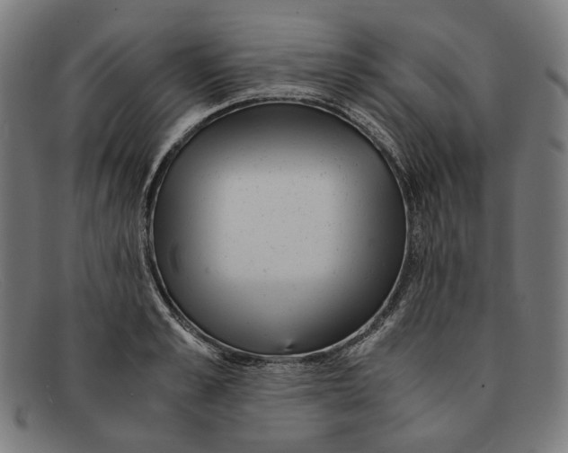 X0000091450989200709131712