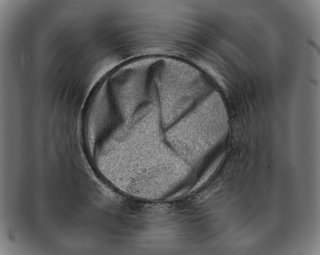 X0000091450991200709131712