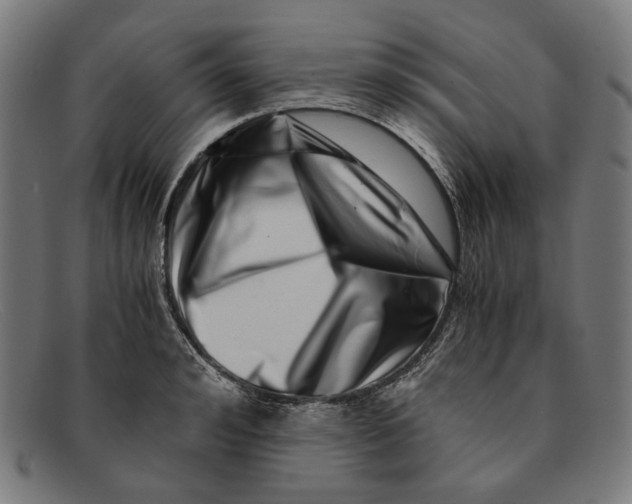 X0000091450992200709131712