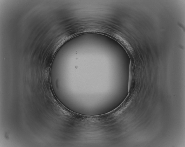 X0000091450993200709131712