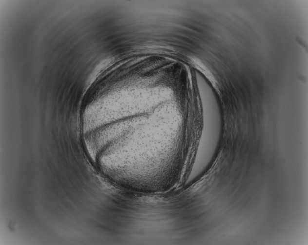 X0000091450994200709131712
