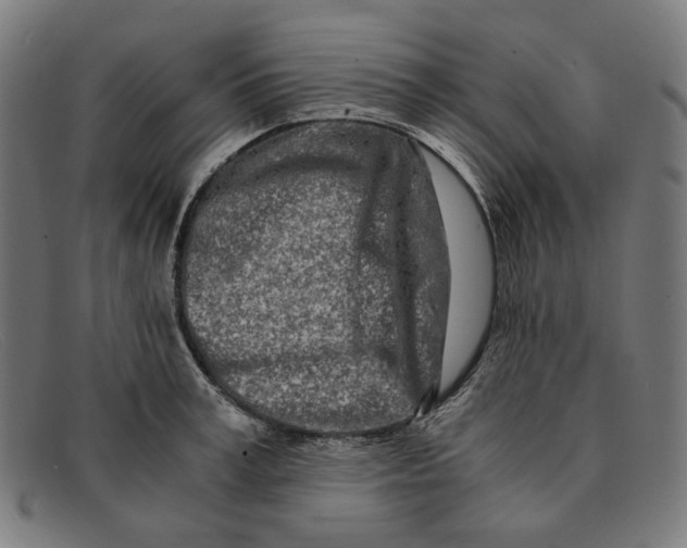 X0000091450995200709131712