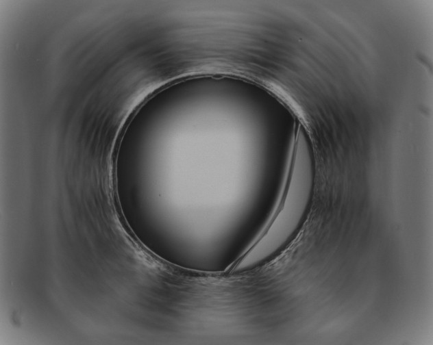 X0000091450996200709131712