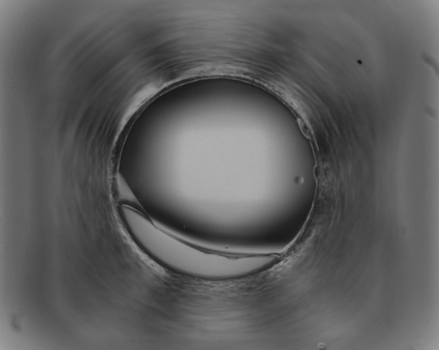 X0000091450997200709131712