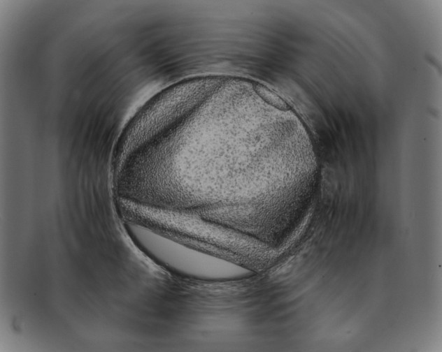 X0000091450998200709131712