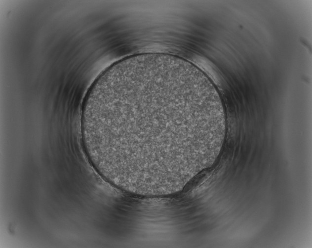 X0000091451000200709131712