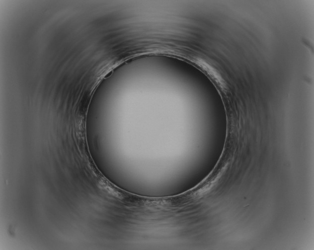 X0000091451001200709131712