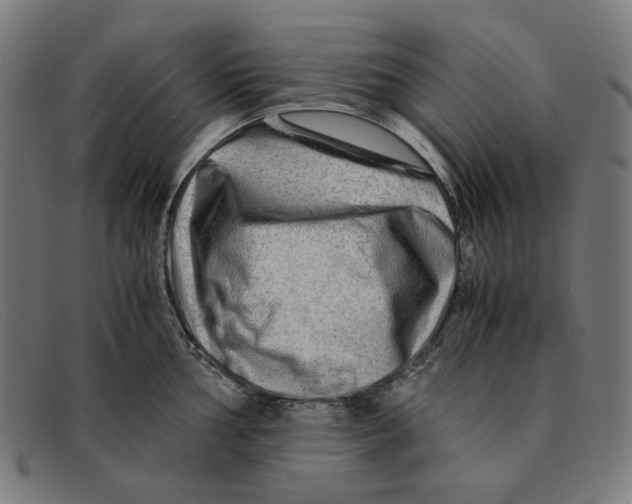 X0000091451002200709131712