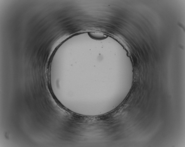 X0000091451003200709131712