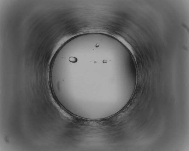 X0000091451005200709131712