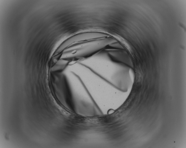 X0000091451006200709131712