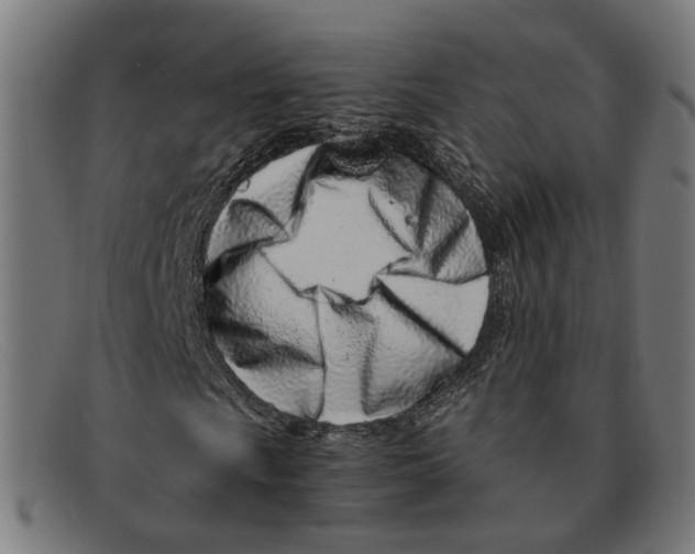 X0000091451009200709131711