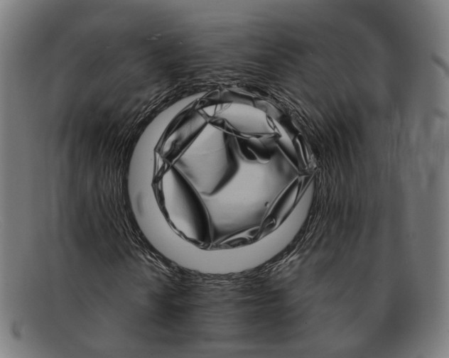 X0000091451010200709131711