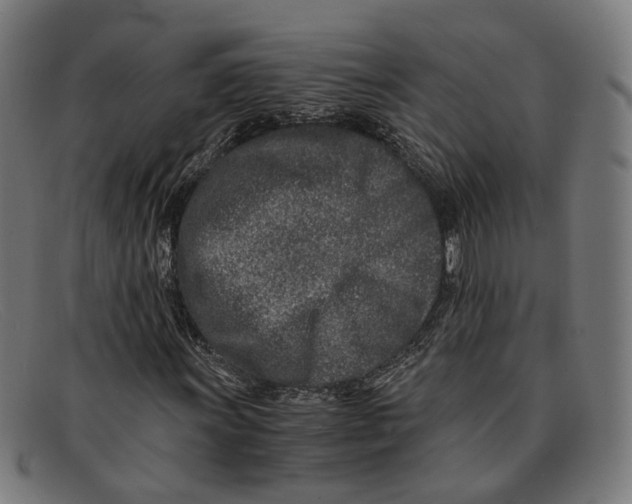X0000091451011200709131711