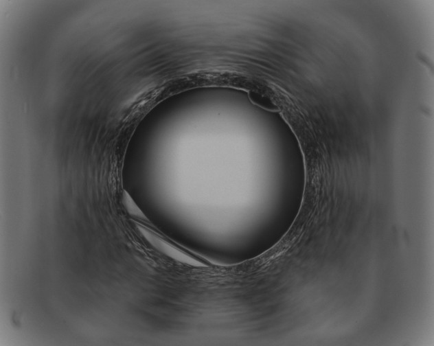 X0000091451014200709131711