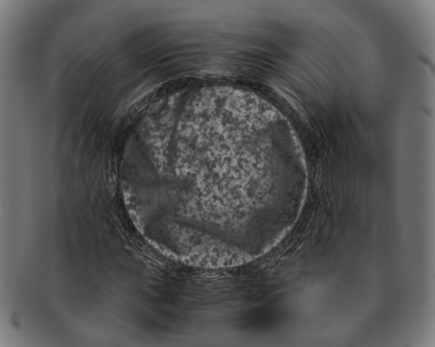 X0000091451015200709131711