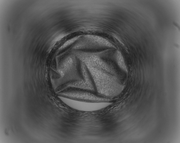 X0000091451016200709131711
