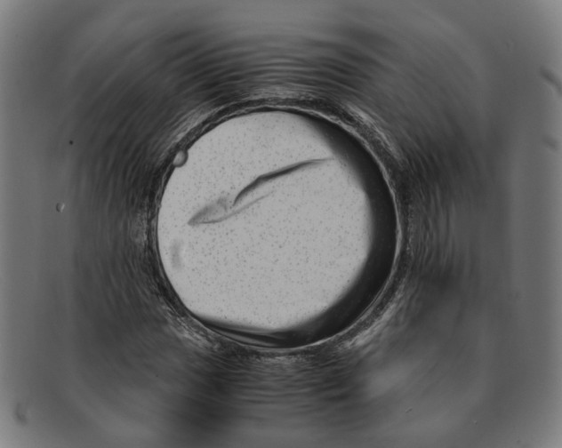 X0000091451017200709131711