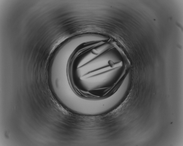 X0000091451018200709131711