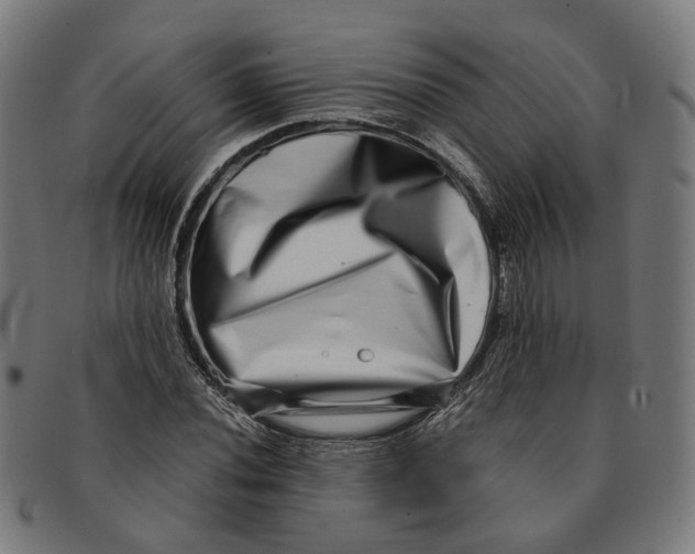 X0000091451020200709131711