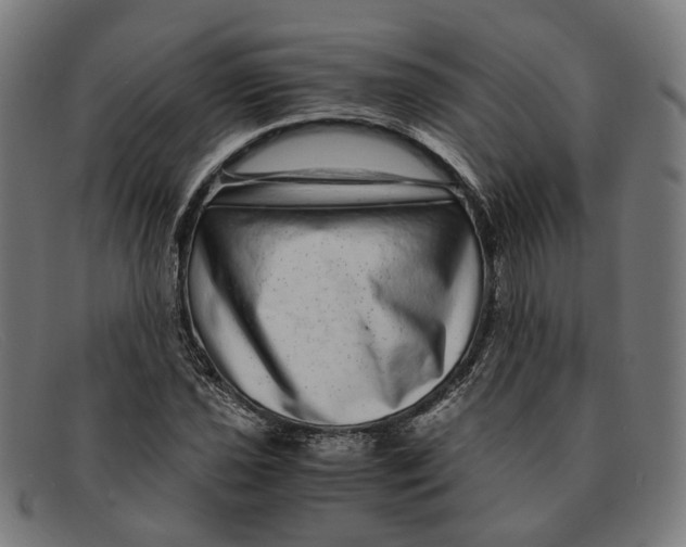 X0000091451021200709131711